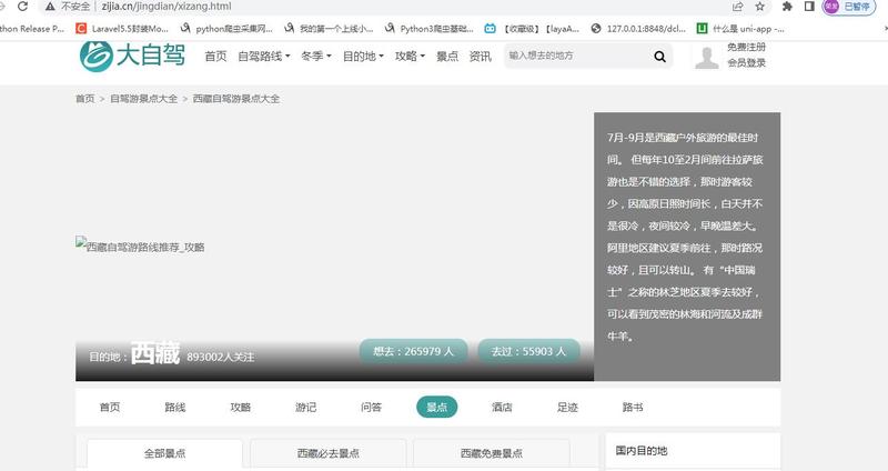 大自驾网站开发