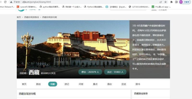 大自驾网站开发