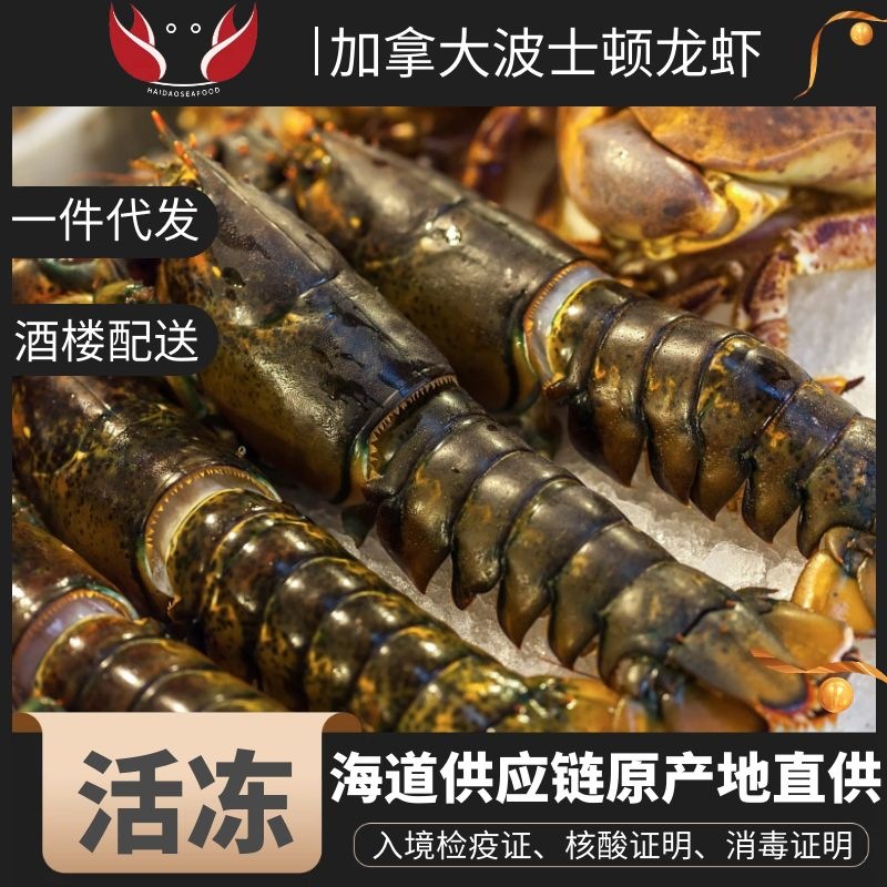 波士顿龙虾大龙虾波龙波虾澳龙网红海鲜水产食材鲜活速冻冷冻熟冻