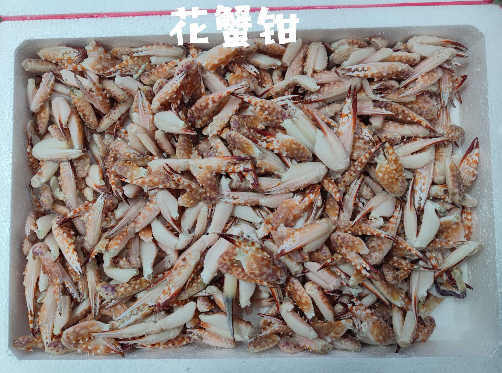 冻花蟹脚 冻花蟹钳 蟹腿 冻石蟹脚 冷冻梭蟹脚.1件7斤