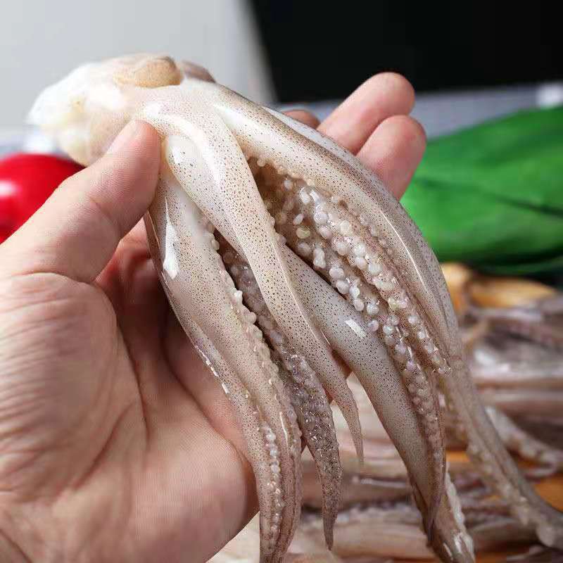 鱿鱼须海鲜冷冻鱿鱼头新鲜鲜活水产小鱿鱼八爪鱼章鱼火锅食材包邮
