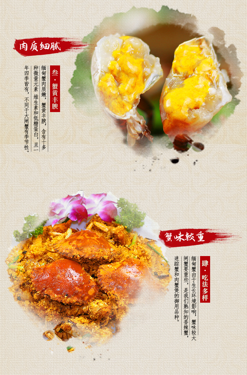 详情_04.jpg