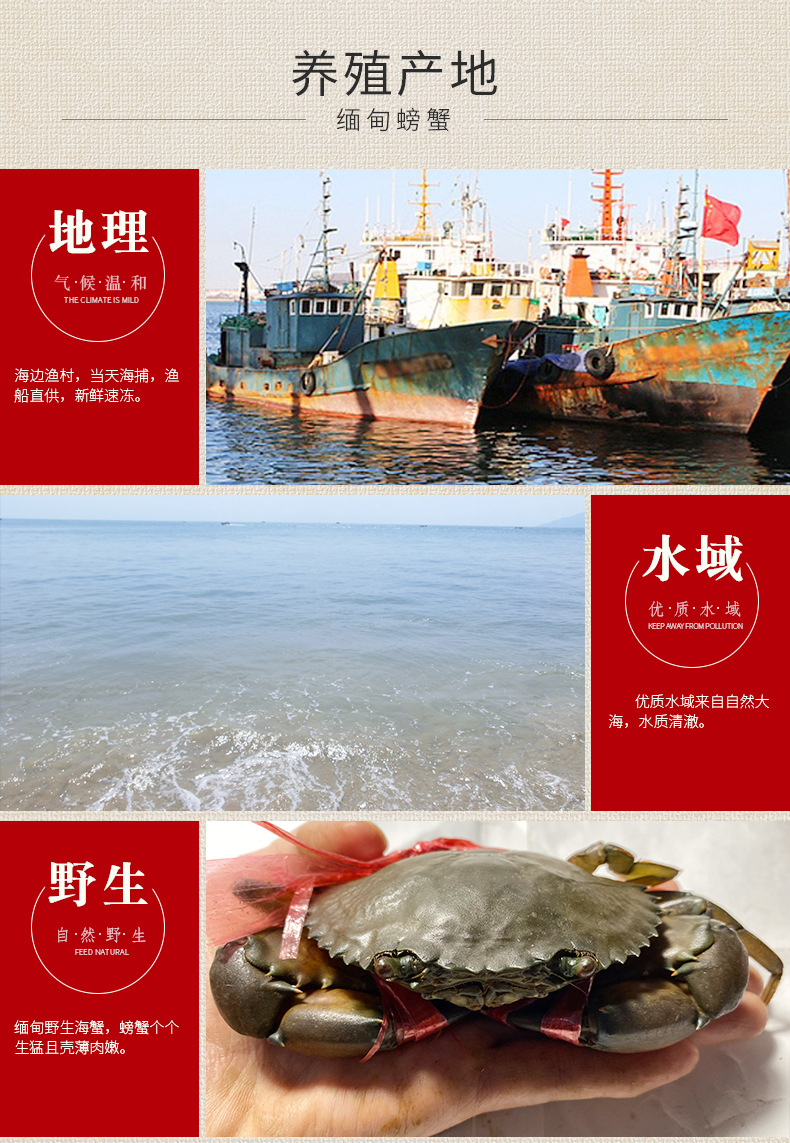 详情_06.jpg