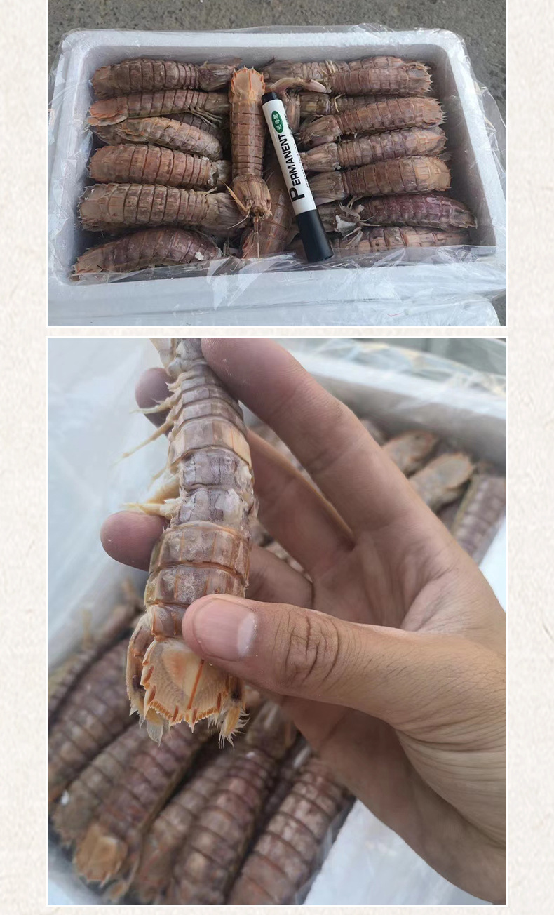 基础详情40_05